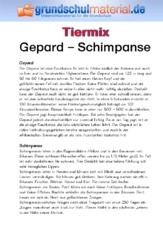 Gepard - Schimpanse.pdf